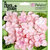 Petaloo - Flora Doodles Collection - Velvet Hydrangeas - Soft Pink