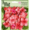 Petaloo - Flora Doodles Collection - Velvet Hydrangeas - Geranium