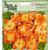 Petaloo - Flora Doodles Collection - Velvet Hydrangeas - Orangeade