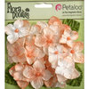 Petaloo - Flora Doodles Collection - Velvet Hydrangeas - Apricot