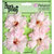 Petaloo - Flora Doodles Collection - Beaded Peonies - Small - Soft Pink