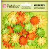 Petaloo - Flora Doodles Collection - Mulberry Flowers - Mini - Delphiniums - Citrus Yellow Orange and Chartreuse
