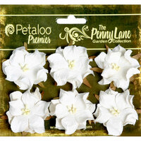 Petaloo - Penny Lane Collection - Floral Embellishments - Wild Roses - Mulberry Street - White