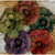 Petaloo - Darjeeling Collection - Floral Embellishments - Zinnia