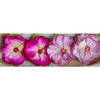 Petaloo - Devon Collection - Glittered Floral Embellishments - Delila - Pink and Fuchsia