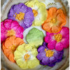 Petaloo - Devon Collection - Glittered Floral Embellishments - Sweetpea - Fuchsia Purple Yellow and Orange