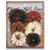 Petaloo - Darjeeling Collection - Floral Embellishments - Medium - Black Cream and Brown
