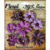 Petaloo - Darjeeling Collection - Floral Embellishments - Mini - Teastained Purples