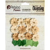 Petaloo - Darjeeling Collection - Floral Embellishments - Mini Daisies with Leaves - Shabby Beige