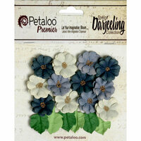 Petaloo - Darjeeling Collection - Floral Embellishments - Mini Daisies with Leaves - Nightfall