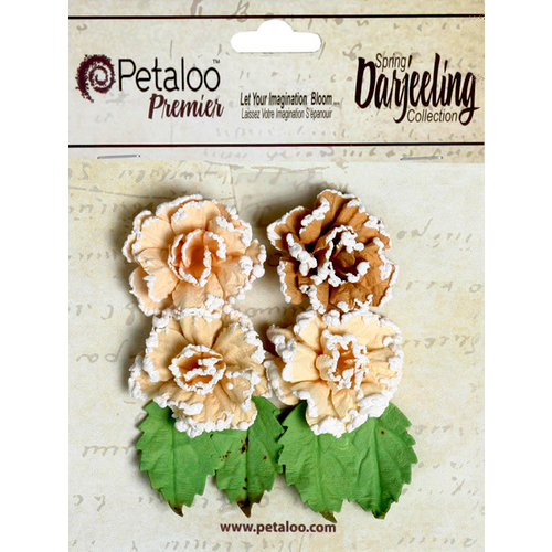 Petaloo - Darjeeling Collection - Floral Embellishments - Frosted Roses - Shabby Beige