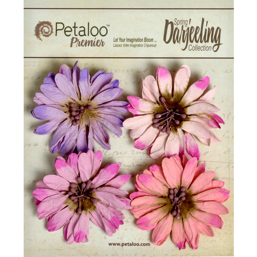 Petaloo - Darjeeling Collection - Floral Embellishments - Daisies - Hyacinth