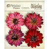 Petaloo - Darjeeling Collection - Floral Embellishments - Daisies - Red Raspberry