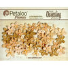 Petaloo - Darjeeling Collection - Floral Embellishments - Mini Pearl Daisies - Shabby Beige