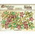 Petaloo - Darjeeling Collection - Floral Embellishments - Mini Pearl Daisies - Pistachio