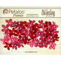 Petaloo - Darjeeling Collection - Floral Embellishments - Mini Pearl Daisies - Red Raspberry