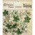 Petaloo - Printed Darjeeling Collection - Floral Embellishments - Mini - Soft Green