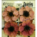 Petaloo - Darjeeling Collection - Floral Embellishments - Anenome - Spice