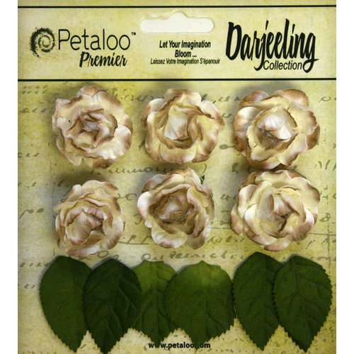 Petaloo - Darjeeling Collection - Floral Embellishments - Mini Garden Rosette - Cream