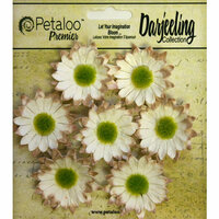 Petaloo - Darjeeling Collection - Floral Embellishments - Mini Daisy - Cream