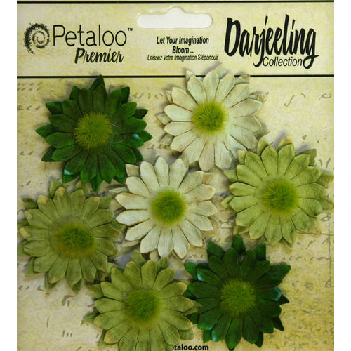 Petaloo - Darjeeling Collection - Floral Embellishments - Mini Daisy - Green