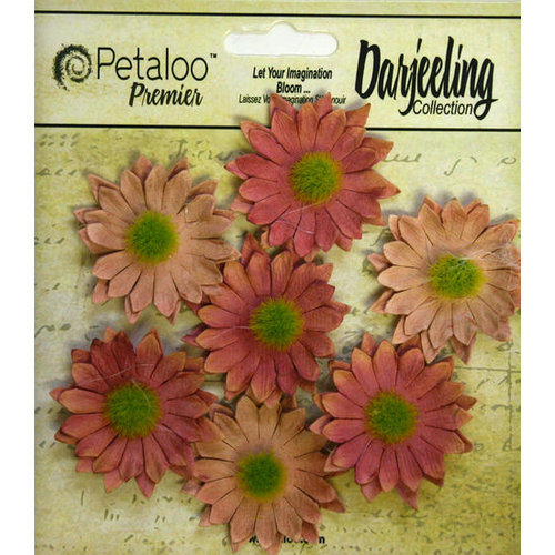 Petaloo - Darjeeling Collection - Floral Embellishments - Mini Daisy - Spice