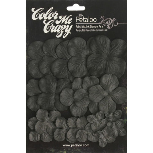 Petaloo - Color Me Crazy Collection - Black Chalkboard - Hydrangeas
