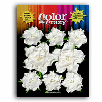 Petaloo - Color Me Crazy Collection - Mulberry Paper Flowers - Wild Roses - White, CLEARANCE