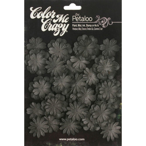 Petaloo - Color Me Crazy Collection - Black Chalkboard - Mini Delphiniums