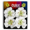 Petaloo - Color Me Crazy Collection - Mulberry Paper Flowers - Open Rose - White, CLEARANCE