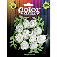 Petaloo - Color Me Crazy Collection - Petite Mini Roses