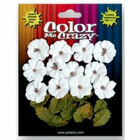Petaloo - Color Me Crazy Collection - Darjeeling Flowers - Petites