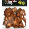 Petaloo - Color Me Crazy Collection - Mulberry Paper Flowers - Brown