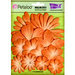Petaloo - Color Me Crazy Collection - Core Matched Mulberry Paper Flowers - Tangerine