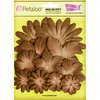 Petaloo - Flora Doodles Collection - Layering Mulberry Flowers - French Roast