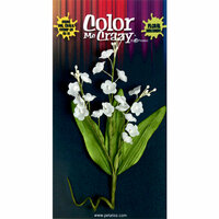 Petaloo - Color Me Crazy Collection - Flower Bouquets - Lily of the Valley