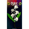 Petaloo - Color Me Crazy Collection - Orchid Spray - Dendrobium