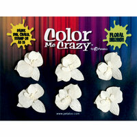 Petaloo - Color Me Crazy Collection - Orchids - Small - Dendrobiums