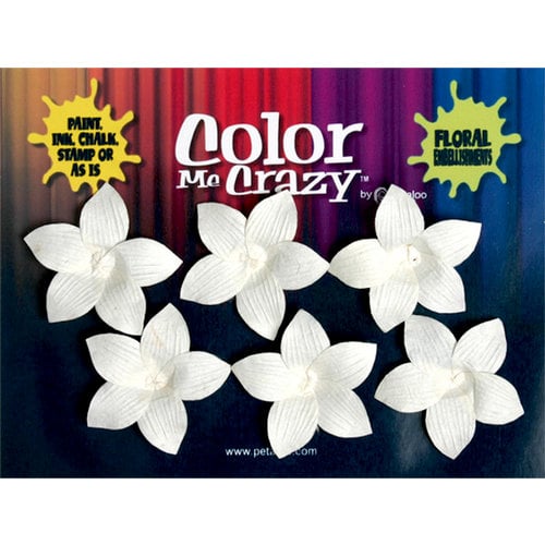 Petaloo - Color Me Crazy Collection - Orchids - Plumeria