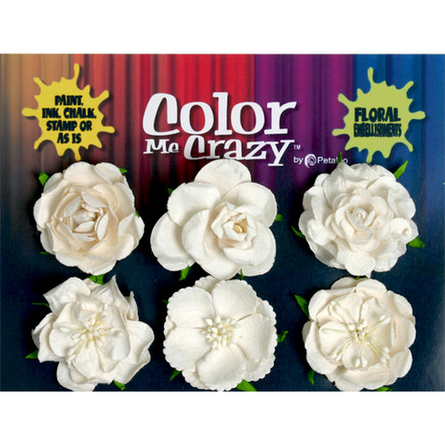 Petaloo - Color Me Crazy Collection - Mixed Floral Assortment
