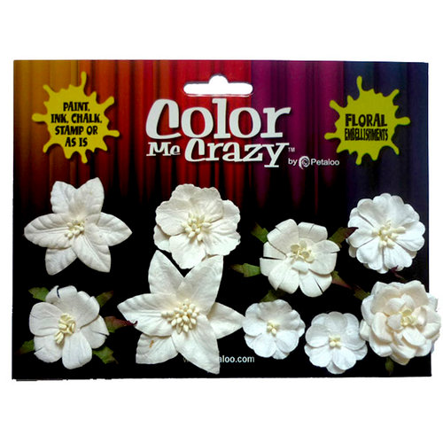 Petaloo - Color Me Crazy Collection - Mini Canterbury Flowers