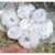 Petaloo - Expressions Collection - Mini Fabric Flowers - White 1