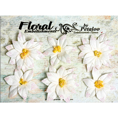 Petaloo - Canterbury Collection - Poinsettia Blossoms - White