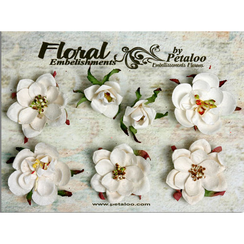 Petaloo - Canterbury Collection - Magnolia Blossoms - White