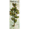 Petaloo - Canterbury Collection - Rose Leaf Spray