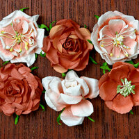 Petaloo - Canterbury Collection - Roses - Paprika