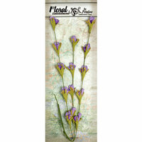 Petaloo - Canterbury Collection - Honeysuckle Vine - Purple