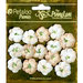 Petaloo - Penny Lane Collection - Floral Embellishments - Forget Me Nots - Vanilla