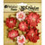 Petaloo - Penny Lane Collection - Floral Embellishments - Mini Wild Roses - Antique Red