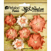 Petaloo - Penny Lane Collection - Floral Embellishments - Mini Wild Roses - Antique Peach